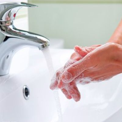 ノニオン性表面活性剤 ローリルグルコシド 水溶性 乳化用軽度パスタ