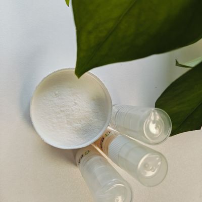 CAS 9003 39 8 PVP 化粧品 原材料 スタイリング用粉末